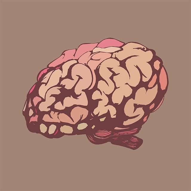 Person reflecting thoughtfully, representing self-discovery through personality quizzes